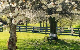 Lupin Lodge Bed & Breakfast